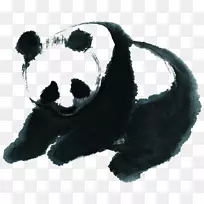 大熊猫小狗水墨画画-大熊猫