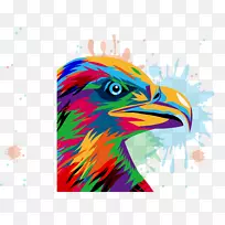 免费摄影.OWL