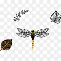 蝴蝶昆虫翅膀黑白媒介蜻蜓
