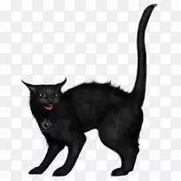 黑猫万圣节剪贴画-女巫猫