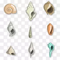 贝壳度假Suncrest软体动物-9色海螺壳设计和