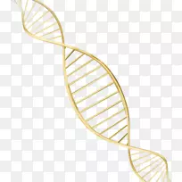 dna脸基因色金螺旋物质风暴
