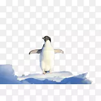 南极企鹅-南极企鹅