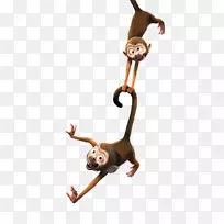 动画猴子剪贴画-猴子钓鱼月童话