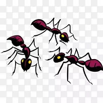 蚂蚁免费下载剪贴画-一组紫色蚂蚁