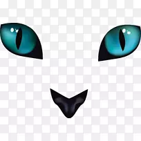 猫眼-可怕的黑猫眼睛