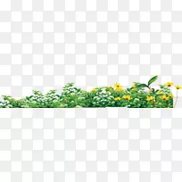 植物环保图标-美丽清新的绿色植物花边