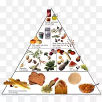 营养食品金字塔健康饮食金字塔健康成分金字塔