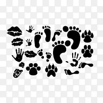 足迹动物足迹-手印和脚印动物足迹