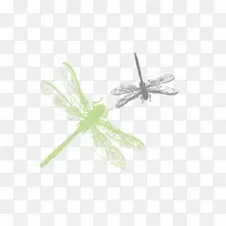 昆虫绿色图案.手绘水彩画蜻蜓