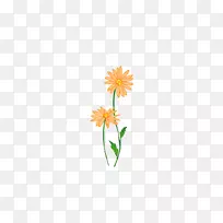 花瓣黄叶型-菊花