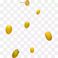 柠檬橙水果-浮动橡子