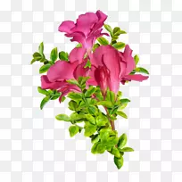 锦绣玫瑰花粉红-古董装饰剪影图标
