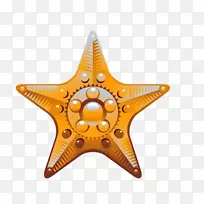 海贝壳海螺剪贴画金星