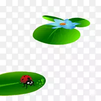 瓢虫-鲜绿色荷叶瓢虫载体材料