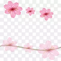 花卉设计樱花-粉红色梦樱花缘