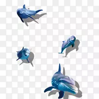 海豚鲨鱼插图-海洋海豚