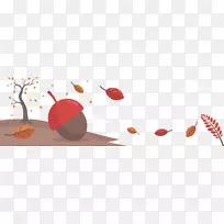 针叶松树落叶秋天-球果成熟落叶冠层