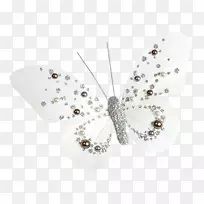 蝴蝶、蝴蝶和昆虫-白色珍珠蝴蝶