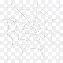 白色对称结构图案蛛网蜘蛛