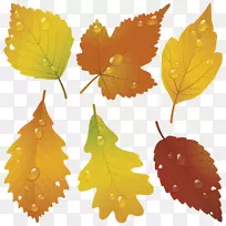 秋叶版税-免费插图-带有水滴的树叶