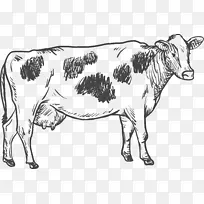 牛画插图.奶牛