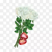 玫瑰色玫瑰花
