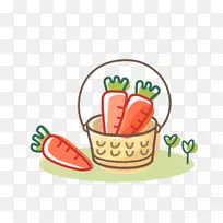 胡萝卜蔬菜萝卜果胡萝卜