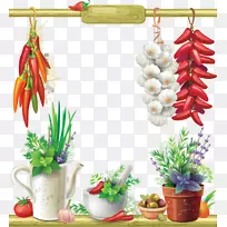 摄影插图.辣椒和大蒜植物