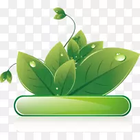 生态设计-绿叶文本框