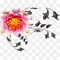红花-牡丹