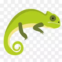 变色龙蜥蜴普通蜥蜴插图-绿色变色龙