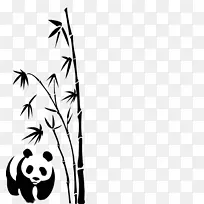 大熊猫竹子载体大熊猫和竹子