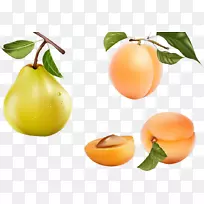 杏果食品-杏