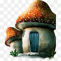 香菇蘑菇房