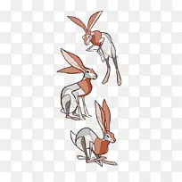 兔灰狼艺术插图-袋鼠