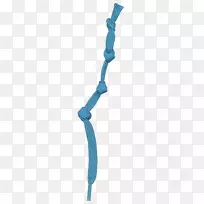 鞋带领带蓝领带鞋带