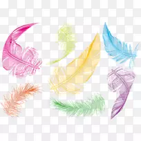 鸟羽鹅夹艺术彩色羽毛