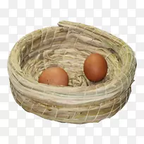 下载google图片如果(我们)图标-巢内有两个蛋