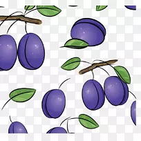 李画免版画插图蓝莓紫色背景