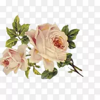 玫瑰花服装剪贴画-牡丹