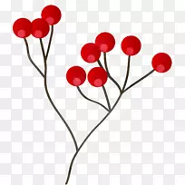 弗鲁蒂·迪博斯科浆果夹艺术-红色浆果