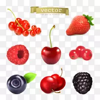 果汁水果意大利樱桃草莓-新鲜浆果卡通图片