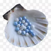 贝壳珍珠夹艺术-珍珠壳