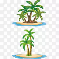 岛屿槟榔科插图-椰子树
