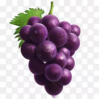 葡萄手绘紫色葡萄