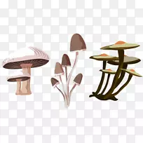 真菌蘑菇图标-蘑菇