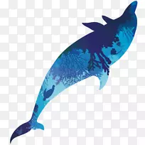 海豚钴蓝海洋生物绿松石鲸体建筑