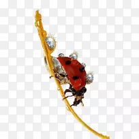 甲虫红瓢虫昆虫首饰