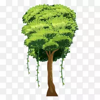 树不含版税的插图-树，树